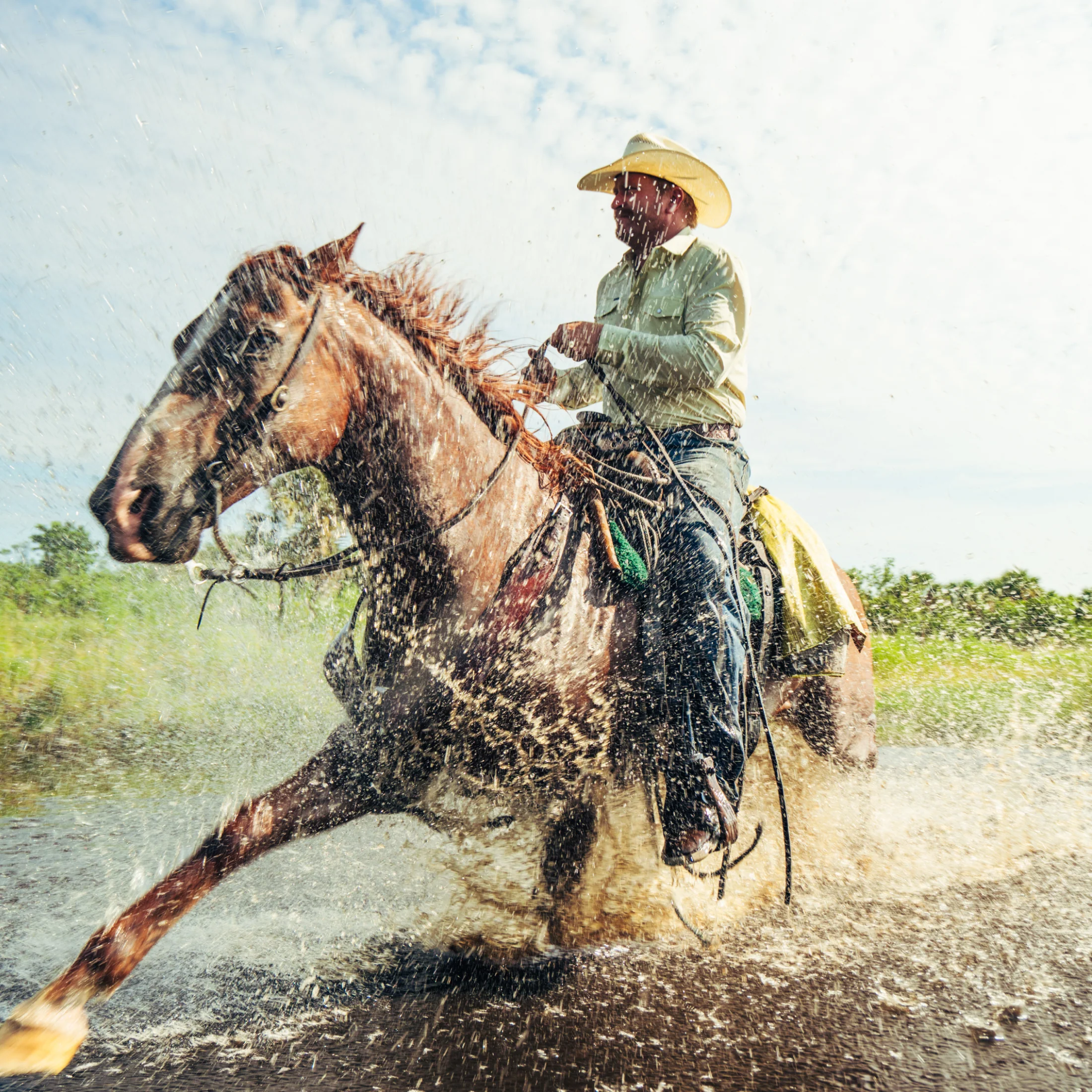 The Stirrup - Image 8